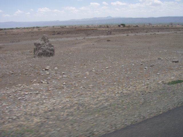 pa034358.jpg