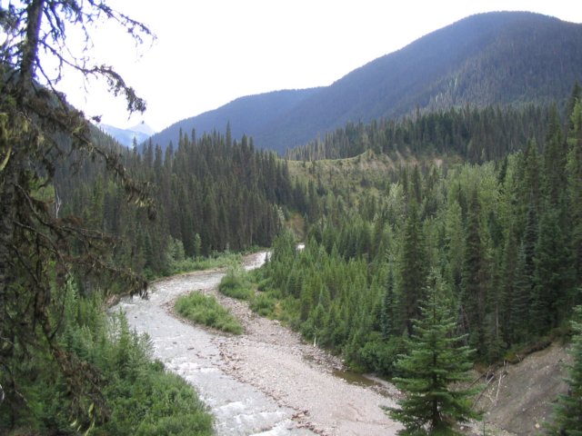 goatriver026.jpg