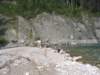 goatriver037_small.jpg