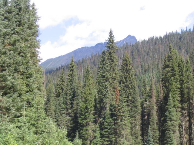 goatriver064.jpg