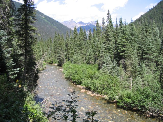 goatriver070.jpg