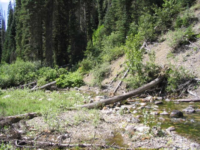 goatriver124.jpg