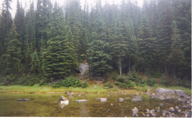 lakeohara1995015.jpg